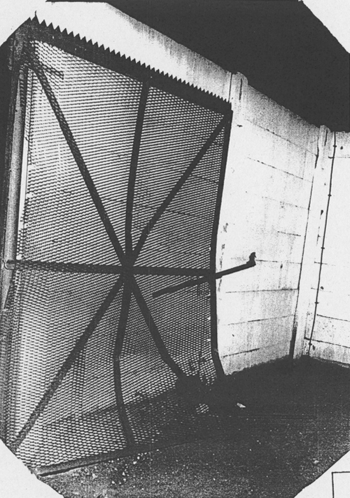 Manfred Mäder, erschossen an der Berliner Mauer: MfS-Foto vom durchbrochenen Grenztor in Berlin-Treptow in Höhe der Karpfenteichstraße, 21. November 1986 Manfred Mäder, erschossen an der Berliner Mauer: MfS-Foto vom durchbrochenen Grenztor in Berlin-Treptow in Höhe der Karpfenteichstraße, 21. November 1986