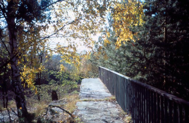 Brücke des Stahnsdorfer Dammes über die ehemalige Autobahn bei Dreilinden Anfang der 90er Jahre Brücke des Stahnsdorfer Dammes über die ehemalige Autobahn bei Dreilinden Anfang der 90er Jahre