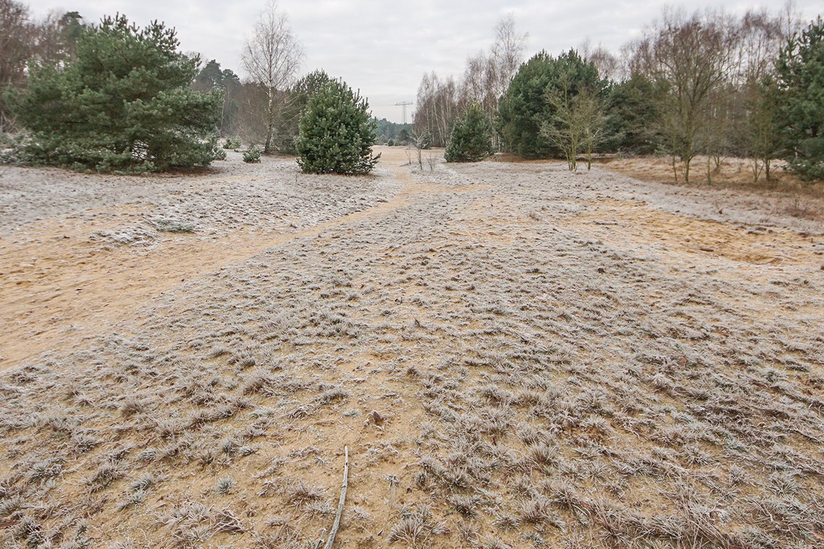 Zwischen Spandau-Bürgerablage und Niederneuendorf, nahe der Havel Zwischen Spandau-Hakenfelde (Bürgerablage) und Niederneuendorf, nahe der Havel