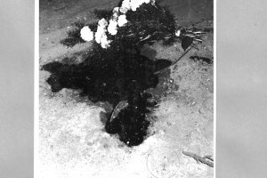 Hans-Dieter Wesa, shot dead at the Berlin Wall: West Berlin police crime site photo [Aug. 23, 1962]