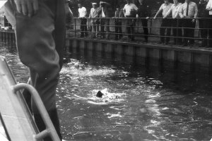 Giuseppe Savoca, drowned in the Berlin border waters: East German border troop photo – Searching for the drowned child [June 15, 1974]