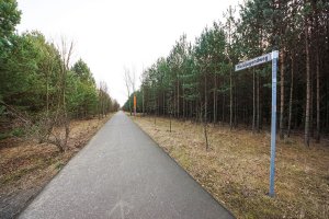 Kolonnenweg der DDR-Grenztruppen im mit Kiefern aufgeforsteten Todesstreifen bei Bergfelde; Aufnahme 2016