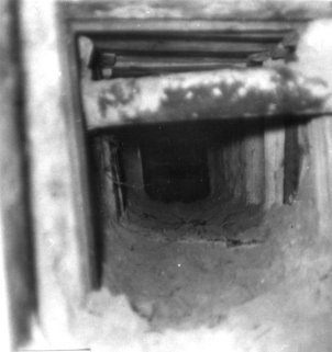 Der Blick geht in den dunklen Tunnelschacht.