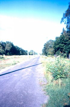 Kolonnenweg der Grenzsoldaten im ehemaligen Grenzgebiet bei Dreilinden