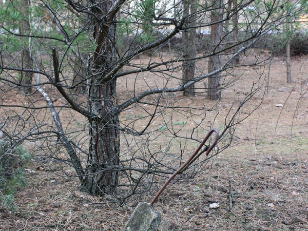 Betonüberrest einer mittleren Sperrmauer im Todesstreifen zwischen Bergfelde und Berlin-Frohnau; Aufnahme 2016