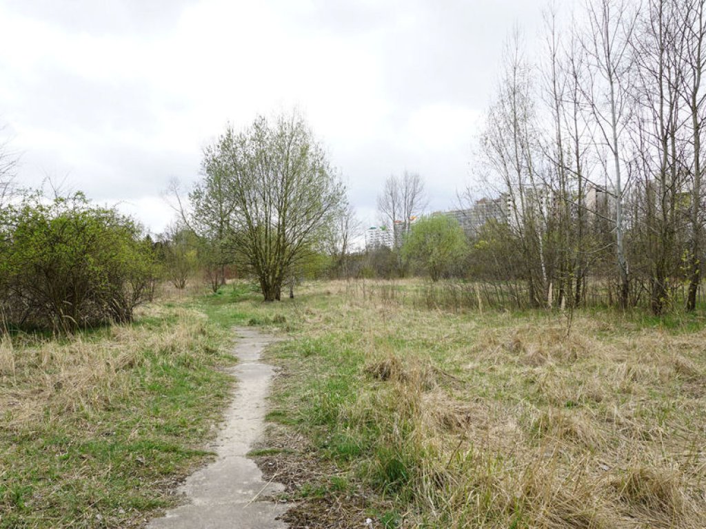 Überwucherter Kolonnenweg im Todesstreifen nördlich des Friedhofs Pankow VII in Wilhelmsruh (1); Aufnahme 2015