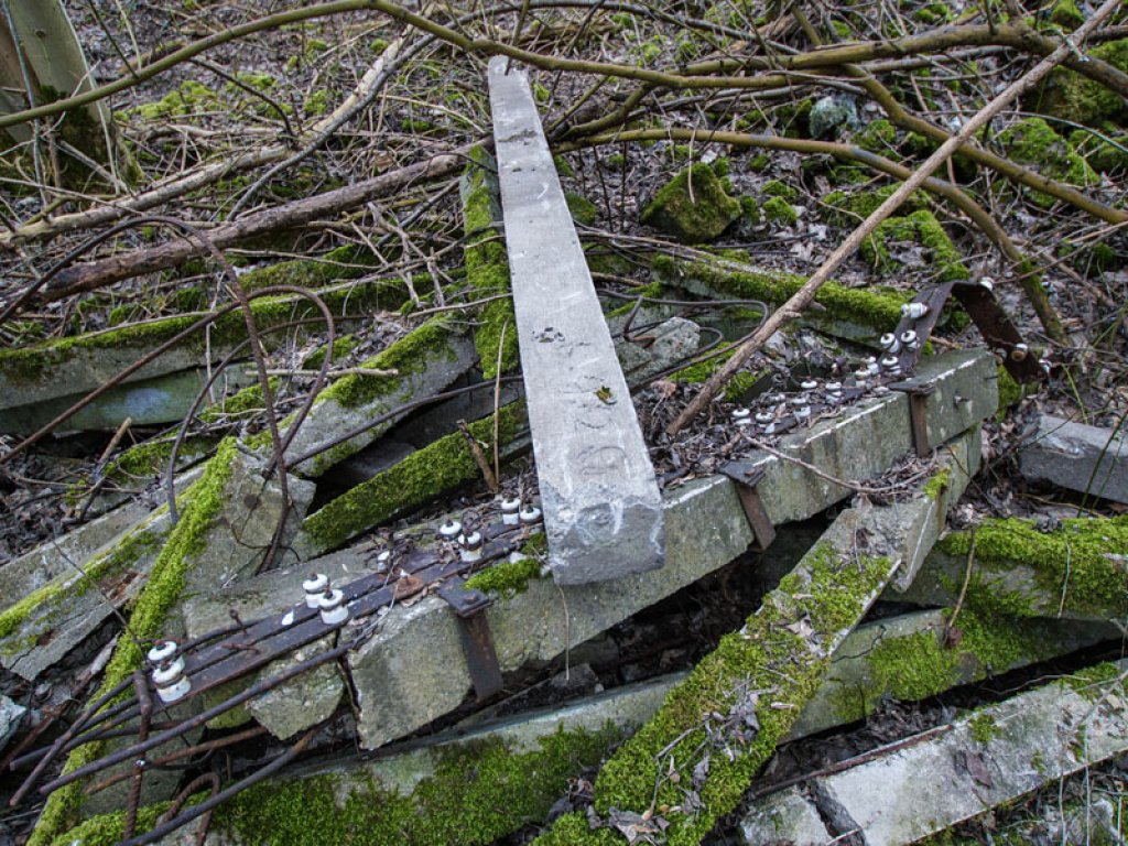 Grenzsignalzaunpfosten mit Abweiser und Grenzzaunpfosten der DDR-Grenzanlagen im Wald nördlich von Groß Glienicke; Aufnahme 2015  Grenzsignalzaunpfosten mit Abweiser und Grenzzaunpfosten der DDR-Grenzanlagen im Wald nördlich von Groß Glienicke; Aufnahme 2015