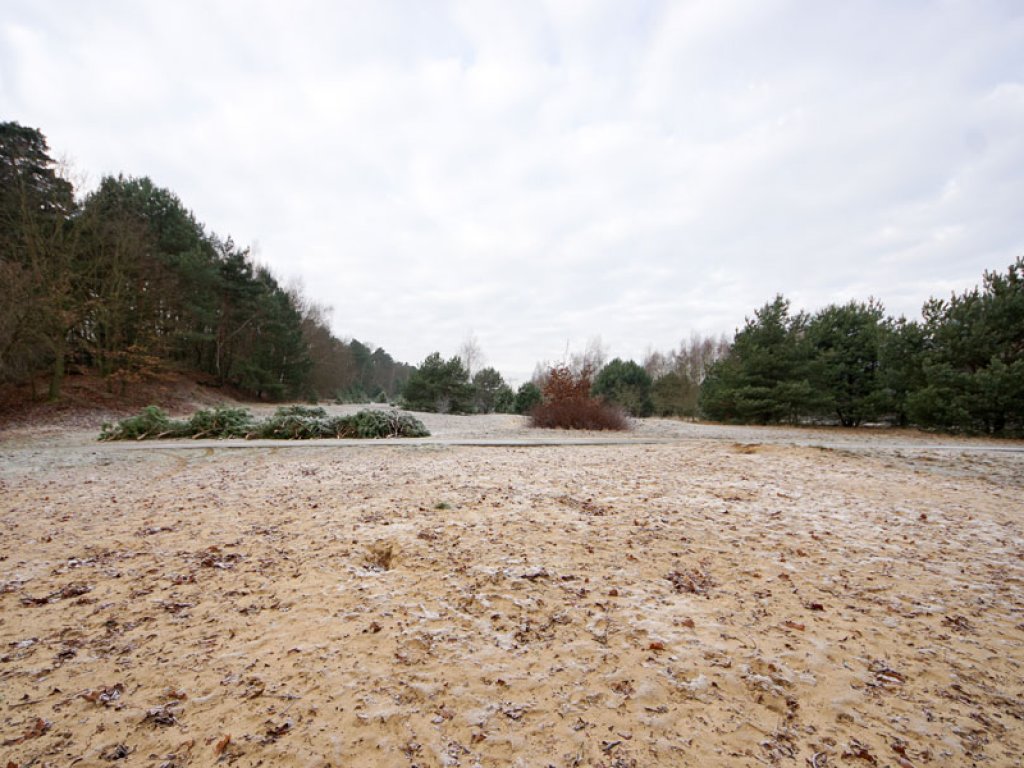 Steppenlandschaft: Der ehemalige Todesstreifen zwischen Nieder Neuendorf und Berlin-Spandau (Bürgerablage) (1); Aufnahme 2015