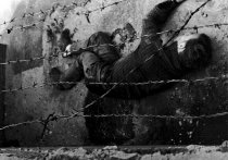 Peter Fechter, erschossen an der Berliner Mauer: Hilflos im Todesstreifen verblutend, 17. August 1962