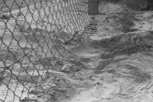 Herbert Kiebler, erschossen an der Berliner Mauer: MfS-Foto von Spuren des Fluchtversuchs am Grenzzaun zwischen Mahlow und Berlin-Lichtenrade, 27. Juni 1975 (II)