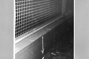 Hans-Dieter Wesa, erschossen an der Berliner Mauer: Tatortfoto der West-Berliner Polizei vom Fluchtweg, 23. August 1962