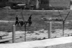 Ernst Mundt, shot dead at the Berlin Wall: Removing the injured man from the death strip, Sept. 4, 1962