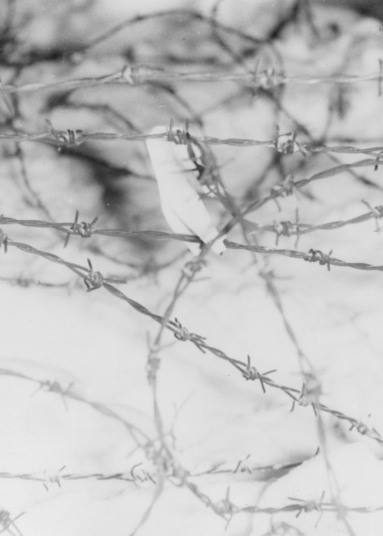 Christian Buttkus, shot dead at the Berlin Wall: Glove lost in the barbed wire during the escape [MfS photo, March 4, 1965]
