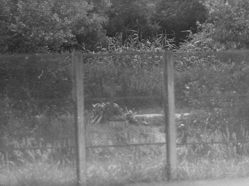 Hermann Döbler, shot dead on the Berlin border waters: Memorial cross [MfS photo, taken from the East German side of the Teltow Canal; 1965]