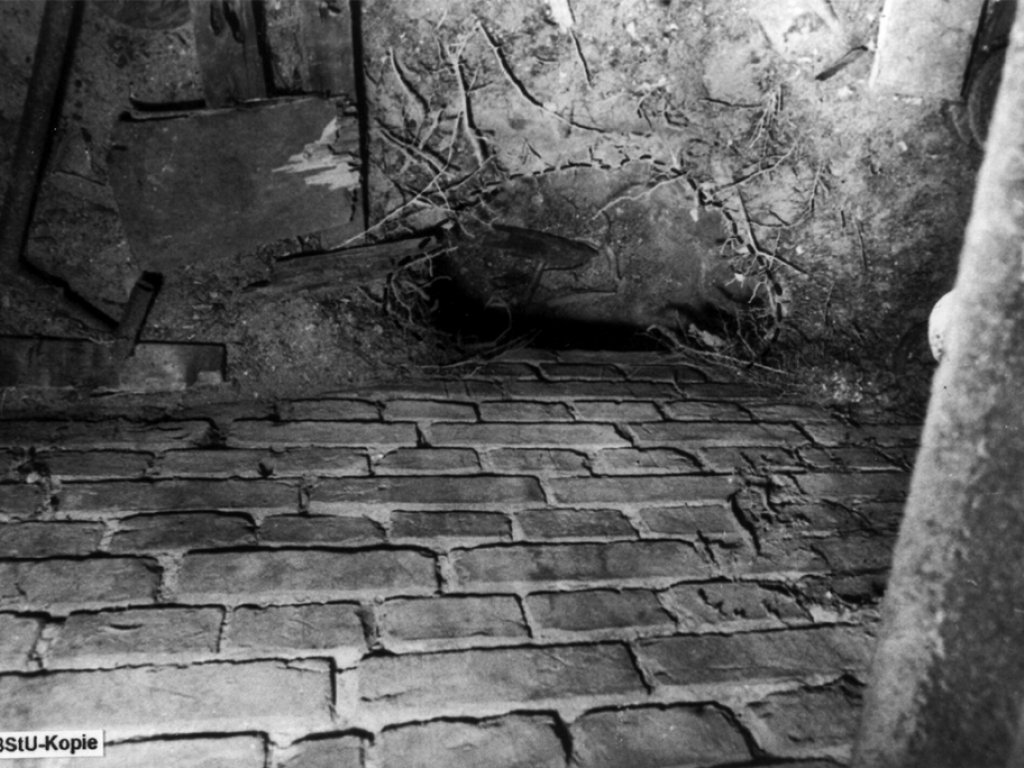 Egon Schultz, shot dead at the Berlin Wall: MfS photo of the tunnel entrance at Strelitzer Strasse 55 [Oct. 5, 1964]