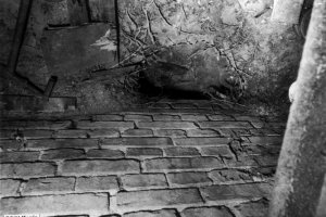 Egon Schultz, shot dead at the Berlin Wall: MfS photo of the tunnel entrance at Strelitzer Strasse 55 [Oct. 5, 1964]