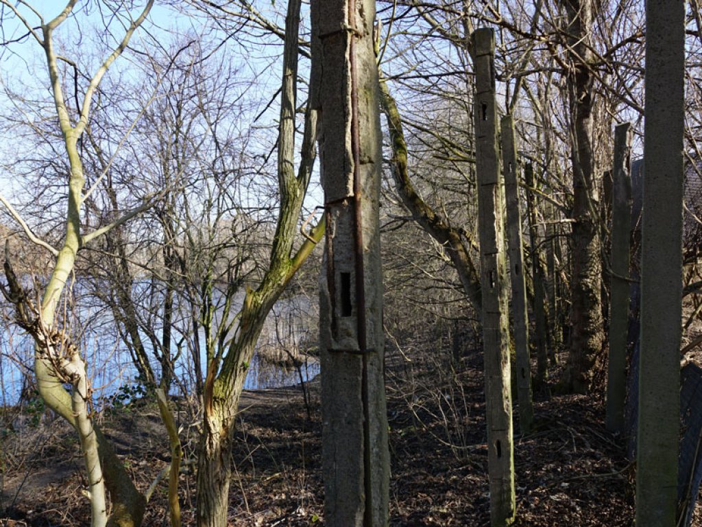Doppelte Betonpfostenreihe des Streckmetallgitterzauns als vorderstes Sperrelement der DDR-Grenzanlagen am Teltowkanal zwischen Teltow-Seehof und Berlin-Lichterfelde (2); Aufnahme 2015