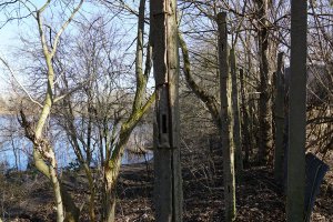 Doppelte Betonpfostenreihe des Streckmetallgitterzauns als vorderstes Sperrelement der DDR-Grenzanlagen am Teltowkanal zwischen Teltow-Seehof und Berlin-Lichterfelde (2); Aufnahme 2015