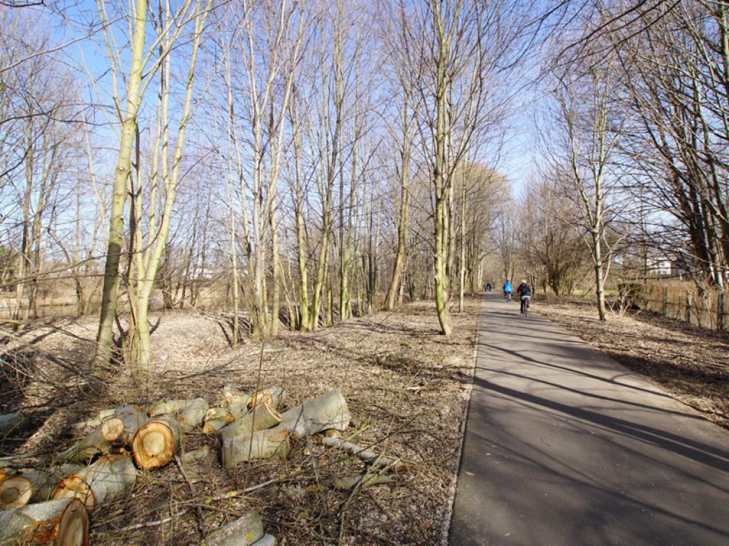 Kolonnenweg mit KfZ-Sperrgraben (links) der DDR-Grenzanlagen zwischen Teltow-Seehof und Berlin-Lichterfelde; Aufnahme 2015