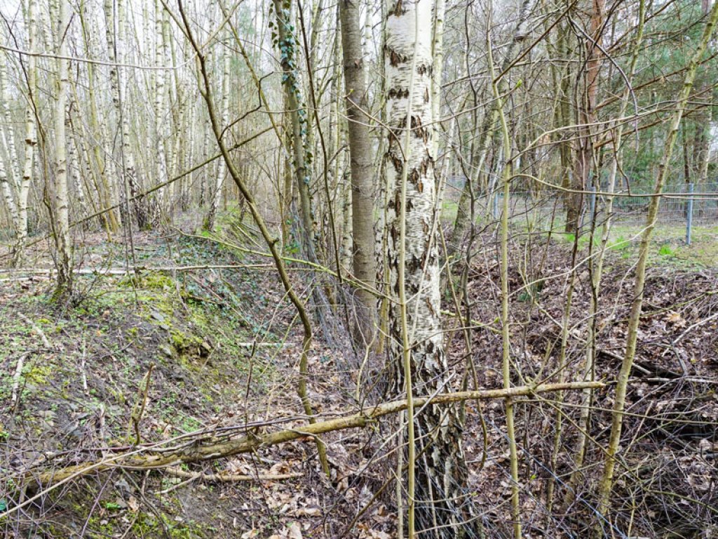 KfZ-Sperrgraben im Todesstreifen der DDR-Grenzanlagen an der Stammbahn in Kleinmachnow; Aufnahme 2015