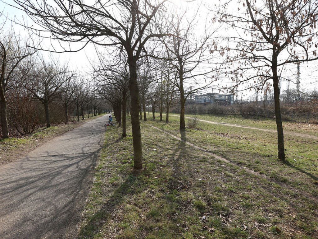 Kolonnenweg und mit Kirschbäumen bepflanzter Todesstreifen nördlich der Bösebrücke; Aufnahme 2015