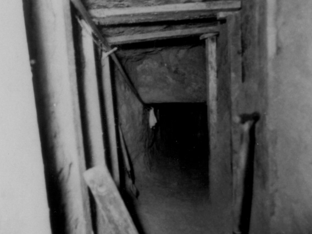 Das Bild zeigt in den Tunnelschacht, der an Decke und Wänden mit Holzbalken abgestützt ist. Im Vordergrund lehnt ein Spaten an der Wand.