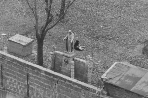 Wachhund der DDR-Grenztruppen auf dem Friedhof an der Liesenstra&szlig;e (Berlin-Wedding), November 1964