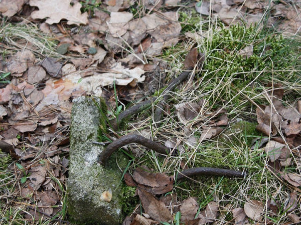 Fundamentrest der vorderen Sperrmauer zwischen Bergfelde und Berlin-Frohnau; Aufnahme 2016