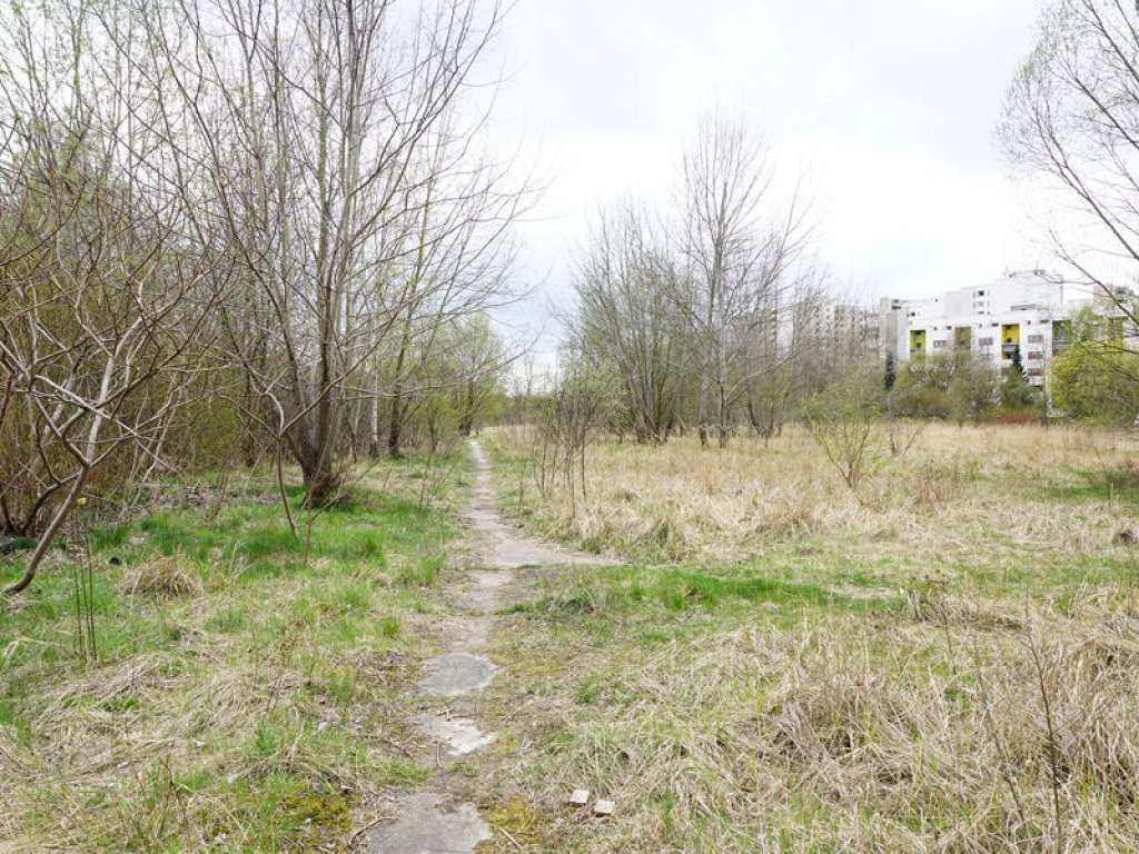 Überwucherter Kolonnenweg im Todesstreifen nördlich des Friedhofs Pankow VII in Wilhelmsruh (2); Aufnahme 2015