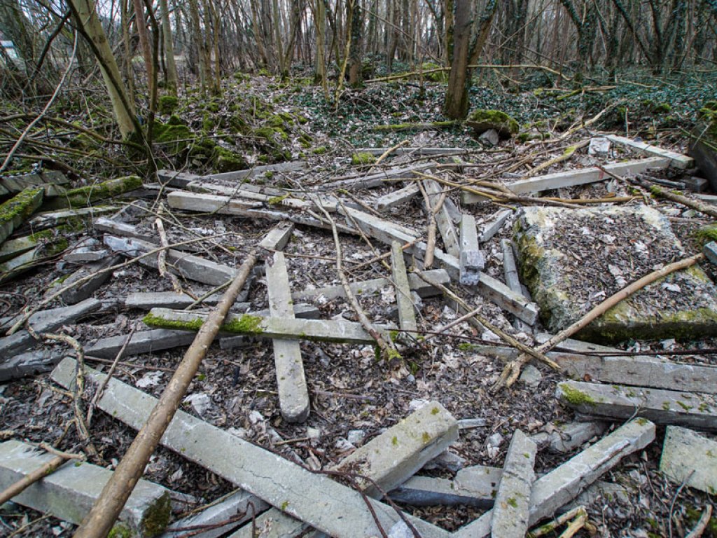 Grenzzaunpfosten der DDR-Grenzanlagen im Wald nördlich von Groß Glienicke; Aufnahme 2015