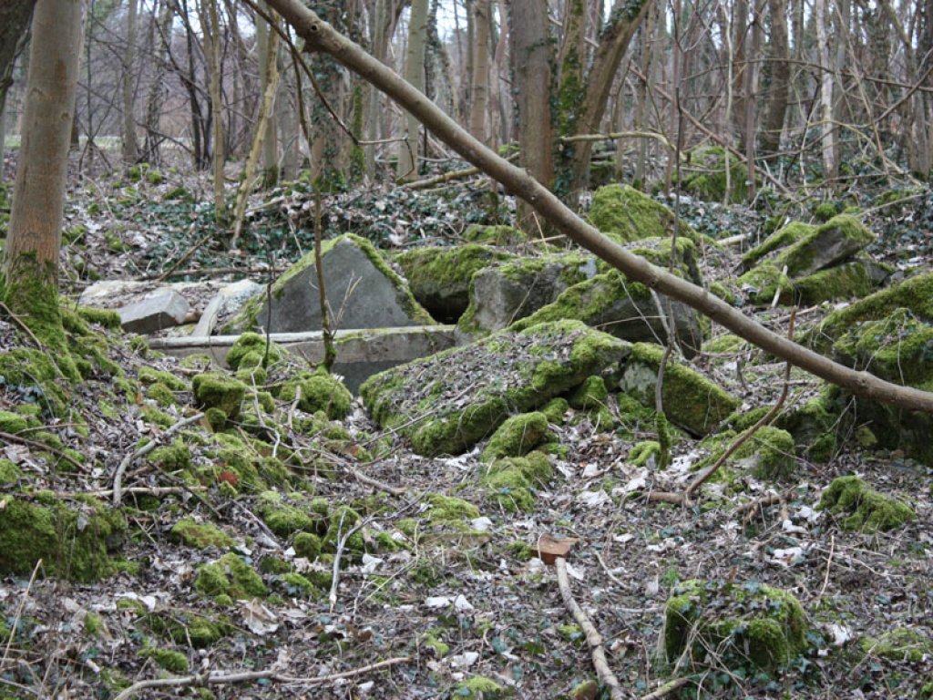 Reste eines Erdbunkers der DDR-Grenztruppen im Wald nördlich von Groß Glienicke; Aufnahme 2015