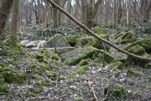 Reste eines Erdbunkers der DDR-Grenztruppen im Wald nördlich von Groß Glienicke; Aufnahme 2015