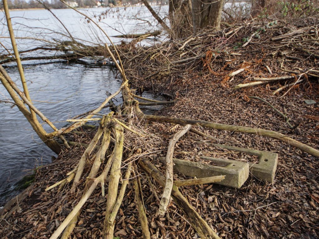 Trägerpfähle von Nachrichtenverteilersprechstellen bzw. von Sprechstellen der DDR-Grenztruppen bei Nieder Neuendorf; Aufnahme 2015