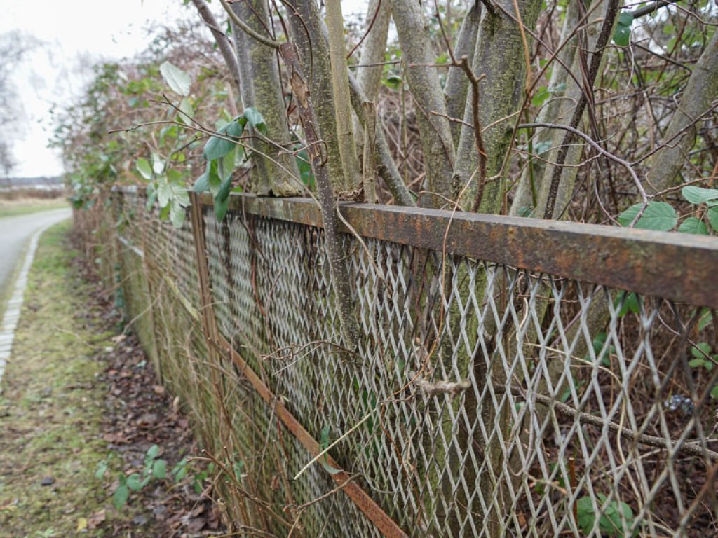 Streckmetallgitterfelder der DDR-Grenzanlagen als Grundstücksumzäunung bei Nieder Neuendorf (3); Aufnahme 2015