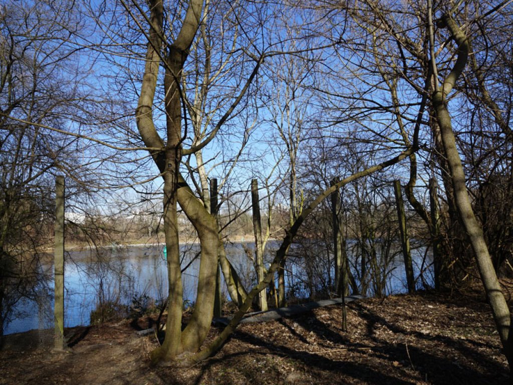 Betonpfostenreihe des vordersten Sperrzaunes der DDR-Grenzanlagen direkt am Teltowkanal zwischen Teltow-Seehof und Berlin-Lichterfelde; Aufnahme 2015