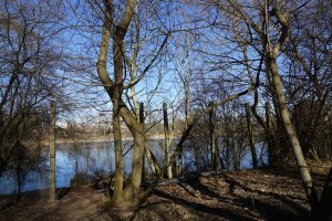 Betonpfostenreihe des vordersten Sperrzaunes der DDR-Grenzanlagen direkt am Teltowkanal zwischen Teltow-Seehof und Berlin-Lichterfelde; Aufnahme 2015