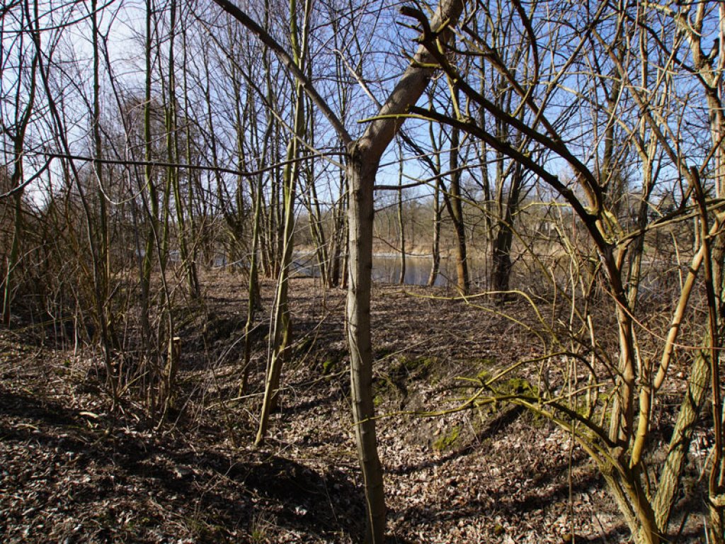 KfZ-Sperrgraben der DDR-Grenzanlagen zwischen Teltow-Seehof und Berlin-Lichterfelde; Aufnahme 2015
