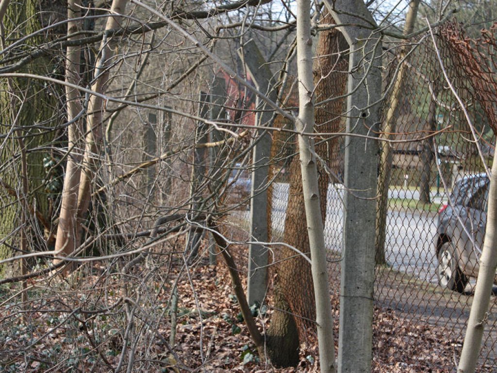 Betonpfosten eines Hinterlandsicherungszaunes vor dem Todesstreifen bei Bergfelde; Aufnahme 2016