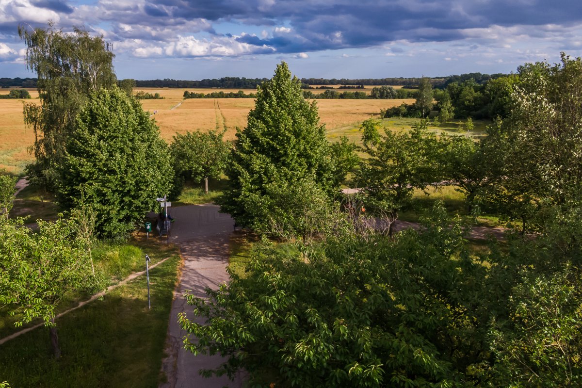 Teltow-Sigridshorst (Blickrichtung Süden)