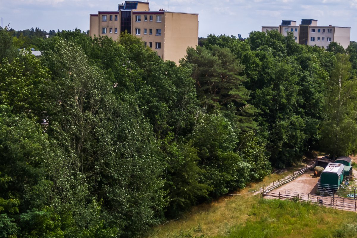 Am Buschgraben zwischen Kleinmachnow und Zehlendorf