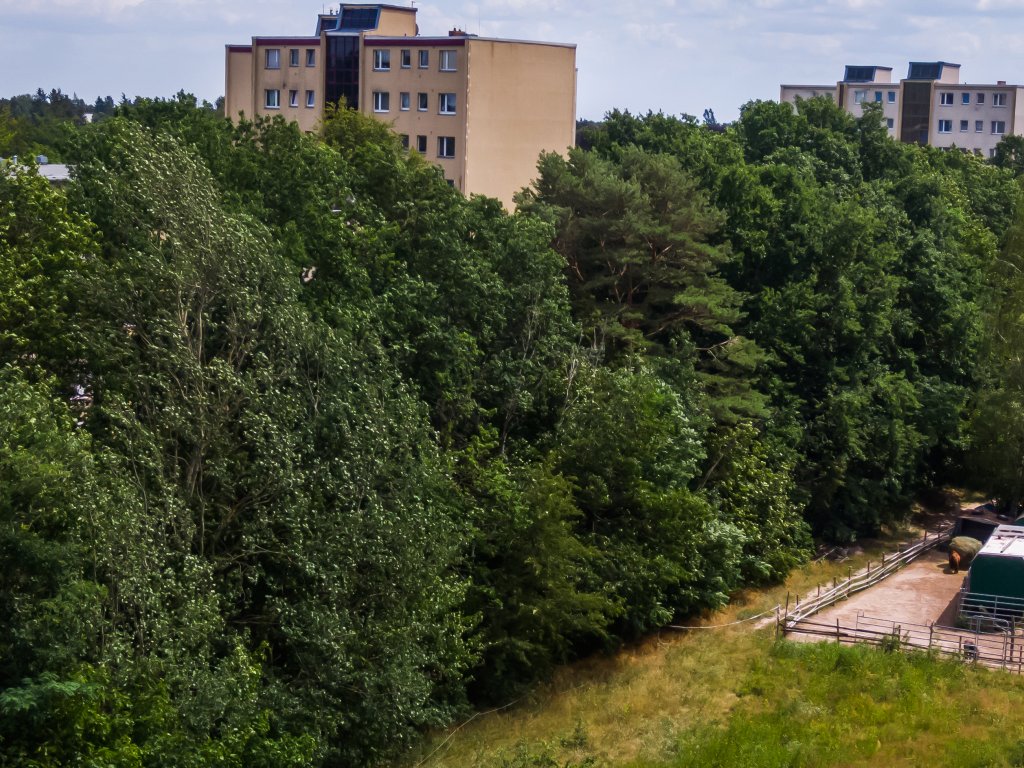 Am Buschgraben zwischen Kleinmachnow und Zehlendorf