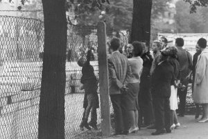 Berliner am Stacheldraht, September 1961