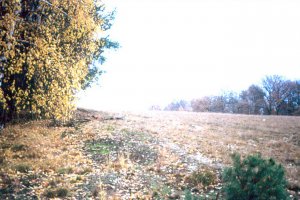 Der Grenzstreifen nahe Dreilinden Anfang der 90er Jahre