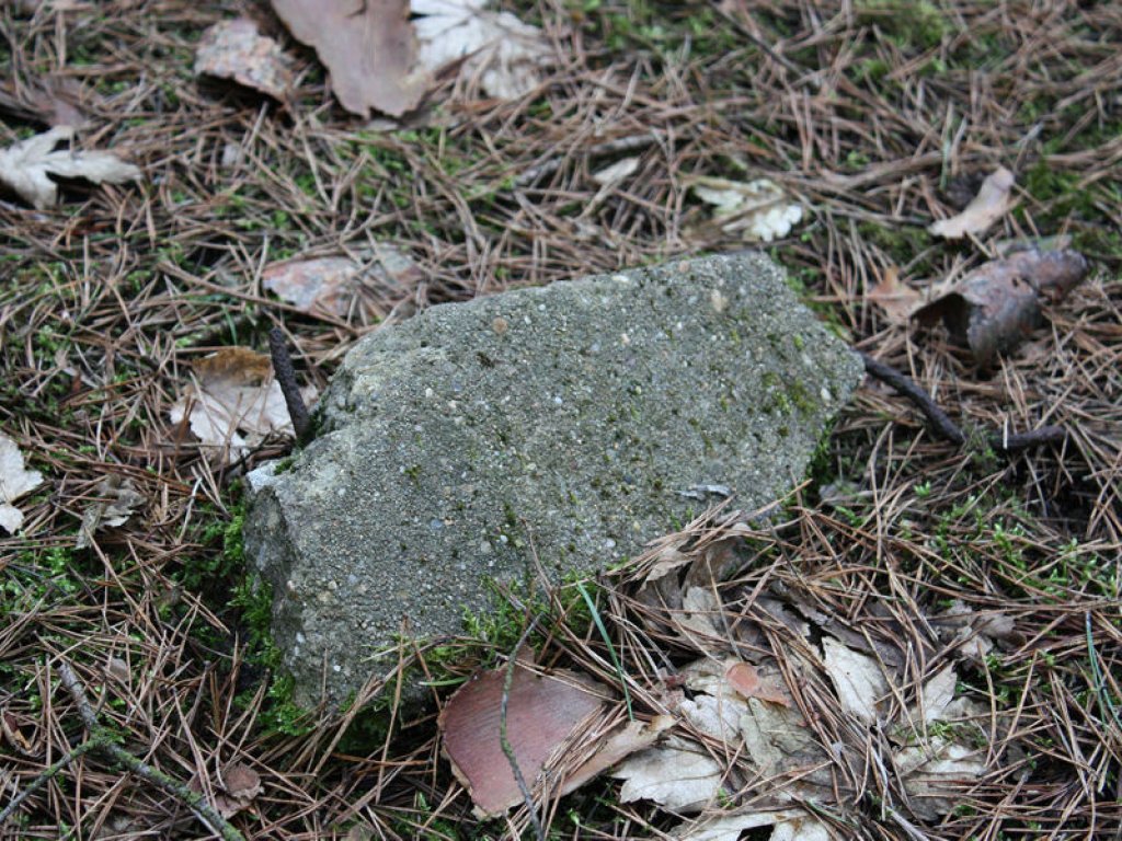 Betonpfostenrest im Todesstreifen bei Bergfelde; Aufnahme 2016