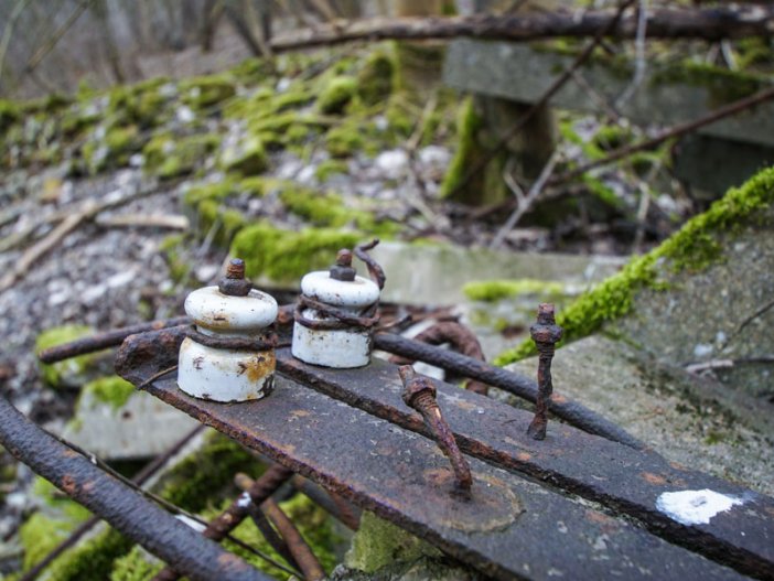 Grenzsignalzaunpfosten der DDR-Grenzanlagen im Wald nördlich von Groß Glienicke (1); Aufnahme 2015