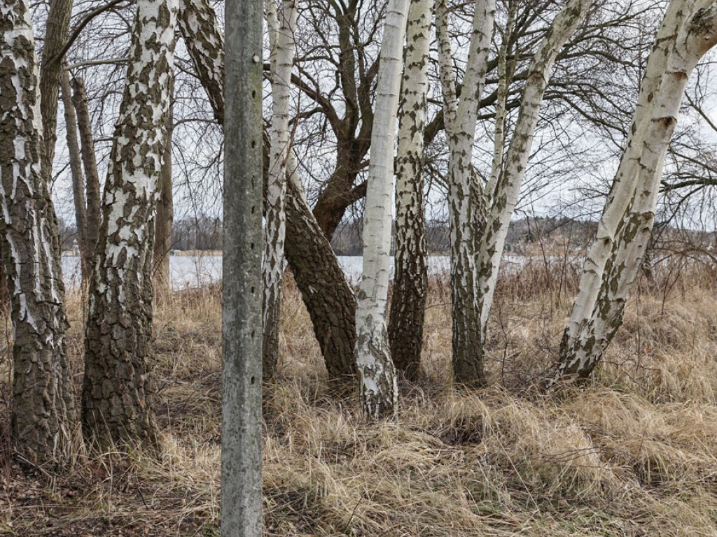 Betonpfosten eines elektronischen Sicherungszaunes der DDR-Grenzanlagen bei Nieder Neuendorf; Aufnahme 2015