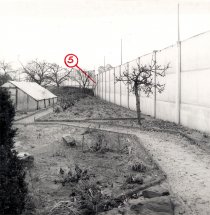 Marienetta Jirkowsky, erschossen an der Berliner Mauer: Fluchtleiter an der Hinterlandmauer in der Florastraße in Hohen Neuendorf, MfS-Foto, 22. November 1980