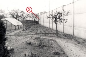 Marienetta Jirkowsky, erschossen an der Berliner Mauer: Fluchtleiter an der Hinterlandmauer in der Florastraße in Hohen Neuendorf, MfS-Foto, 22. November 1980