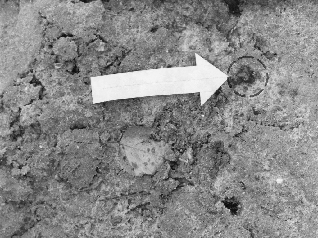 Marienetta Jirkowsky, shot dead at the Berlin Wall: Trail of blood (arrow) after shots were fired [MfS photo: Nov. 22, 1980]