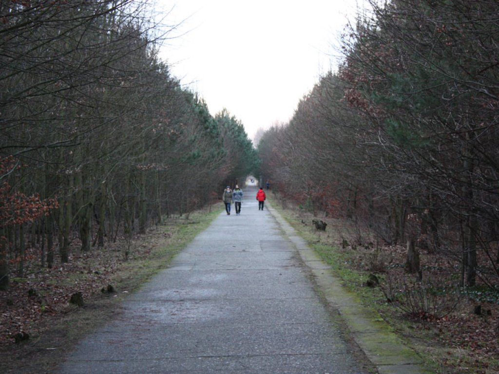 Kolonnenweg im Todesstreifen der DDR-Grenzanlagen und nun Waldweg Nähe Kirchhainer Damm zwischen Mahlow-Waldblick und Berlin-Lichtenrade; Aufnahme 2015